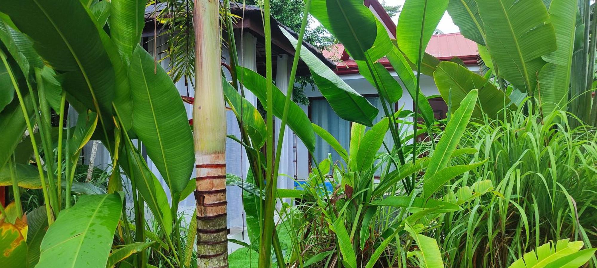 Carpe Diem Villas & Resort Puerto Princesa Екстериор снимка
