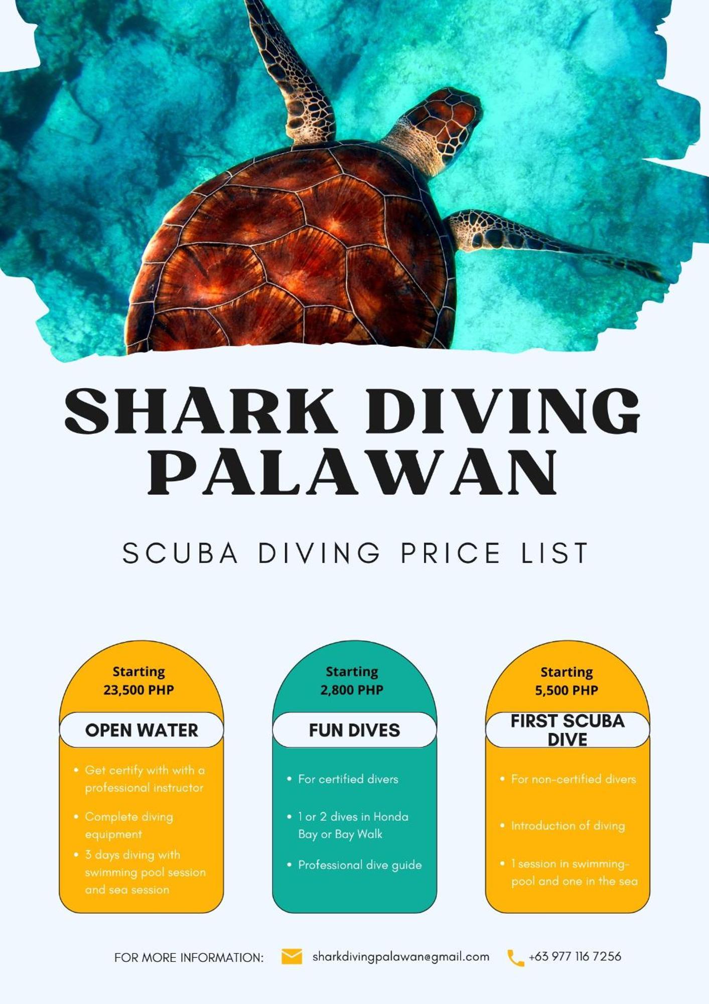 Carpe Diem Villas & Resort Puerto Princesa Екстериор снимка